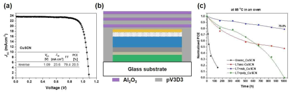 (a) 무기 홀 전도체 CuSCN 기반의 옥틸 암모늄이 도입된 페로브스카이트 태양전지의 전류밀도-전압(J-V) 곡선, (b) 저온 공정 봉지막 (LT-processed encapsulation)이 적용된 태양전지 소자 구조도, (c) 봉지막 유무에 따른 CuSCN 기반의 페로브스카이트 태양전지 소자의 열 안정성을 나타내는 공기 분위기 85 ℃ 오븐에서의 효율