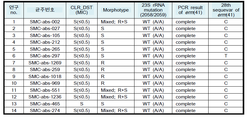 Macrolide 감수성 M. abscessus 균주의 내성유전자 변이 분석