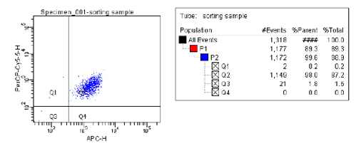 Sorting 후 MAIT세포 확인