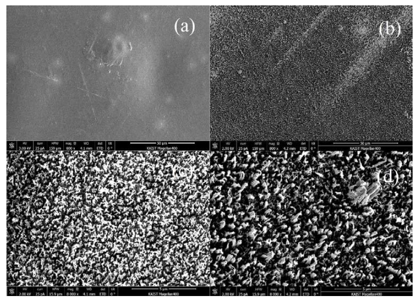 SEM 이미지 (a) MWCNT-PBI/CFRP, (b) 우주환경 노화 후 MWCNT-PBI/CFRP, (c) 우주환경 노화 후 PBI/CFRP, (d) 우주환경 노화 후 MWCNT-PBI/CFRP