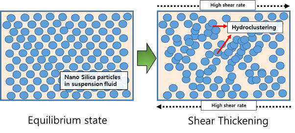 STF의 평형 상태에서 전단시 Shear thickening 효과