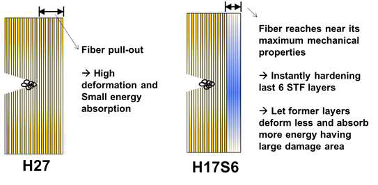 H17S6의 에너지 흡수 메커니즘