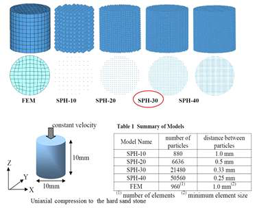 SPH particle density and comparison with FEM model