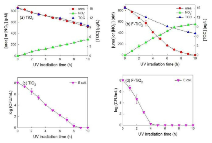 (a) 표면개질되지 않은 이산화티타늄과 (b) 불소 음이온으로 표면개질된 이산화티타늄의 요소 분해 효율, (c) 표면개질되지 않은 이산화티타늄과 (d) 불소 음이온으로 표면개질된 이산화티타늄의 대장균 제거 효율