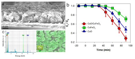 (a, c~d) CuO/CuFeO2 복합 광활성 전극소재의 특성 분석 및 (b) 수중 금속 오염물질 제거 효율 평가
