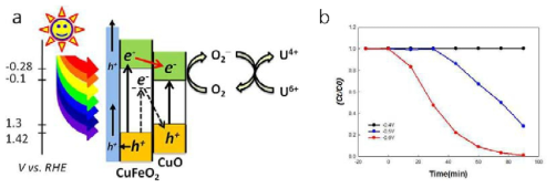 (a) CuO/CuFeO2 광전극을 이용한 수중 금속 오염물질 제거 메커니즘, (b) 전압에 따른 금속 오염물질 제거 성능 비교