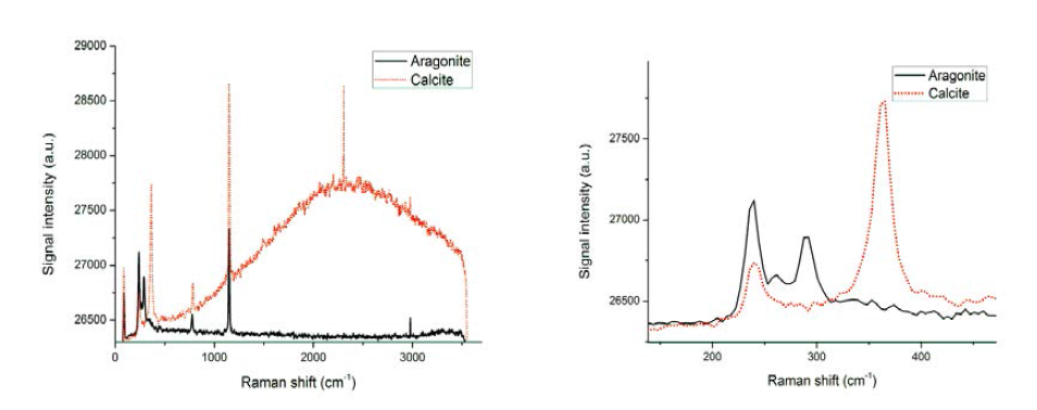CaCO3 동소체의 Raman 분광 실험결과(좌) 300 cm-1 부근을 확대한 그림(우)