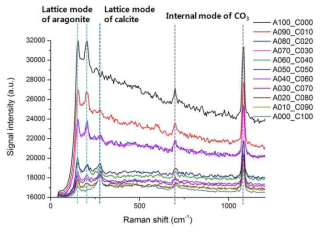 Aragonite와 calcite 혼합 샘플의 Raman 스펙트럼