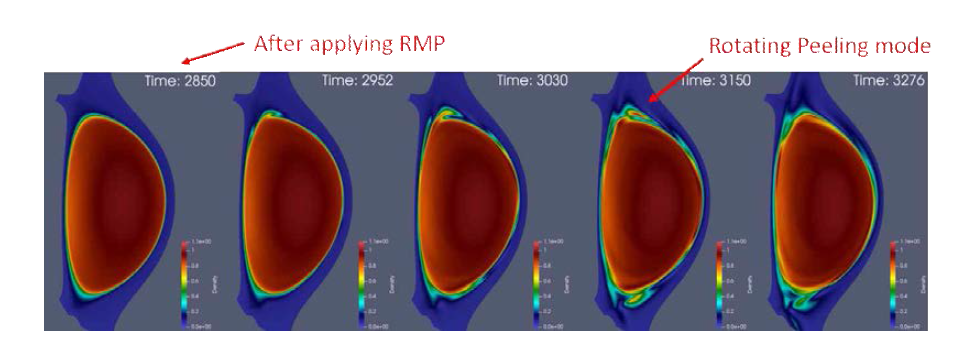 RMP 인가에 따른 ELM의 밀도 섭동 변화