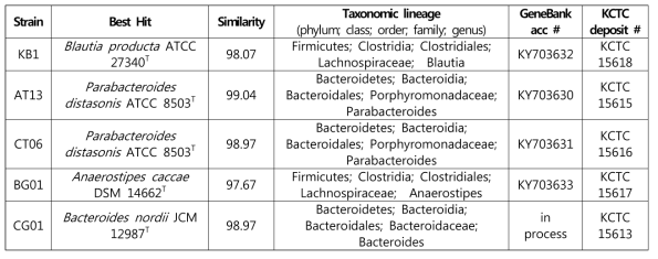 신종 후보 혐기성 장내 미생물 균주 정보