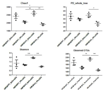 야생형과 NR0B2 유전자 결손 마우스에서의 DSS 처리 전과 후의 α-diversity 측정