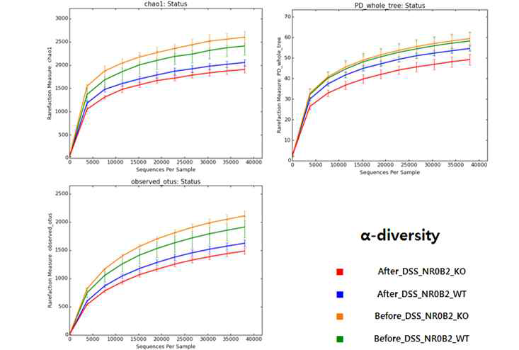 야생형과 NR0B2 유전자 결손 마우스에서의 DSS 처리 전과 후의 rarefaction curve