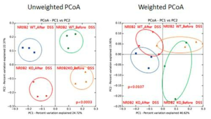 야생형과 NR0B2 유전자 결손 마우스에서의 DSS 처리 전과 후의 β-diversity 측정