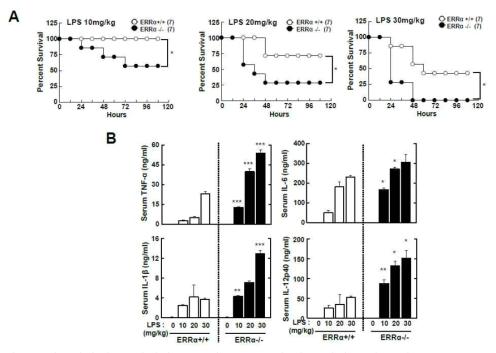 염증제어 후보 단백질 ERRα의 in vivo 내 염증 억제 효과 분석. (A) LPS challenge 후 dose 별로 생존률 분석; (B) A 실험 중 24시간에 혈청을 분리하여 사이토카인 생성능 분석
