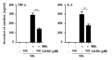 GABA에 의한 마우스 대식세포 내에서 결핵균에 의해 증가된 염증반응 조절