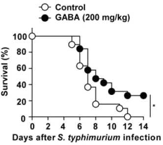 야생형 C57BL/6N 마우스에 GABA투여 후 살모넬라균 감염에 따른 치사율 분석