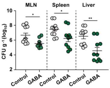살모넬라균 감염된 마우스 장기에서 GABA에 의한 균수 증감비교