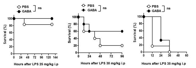 야생형 C57BL/6N 마우스에 GABA를 전처리 투여 후 LPS 유발 농도별 패혈증 유도에 따른 치사율 분석