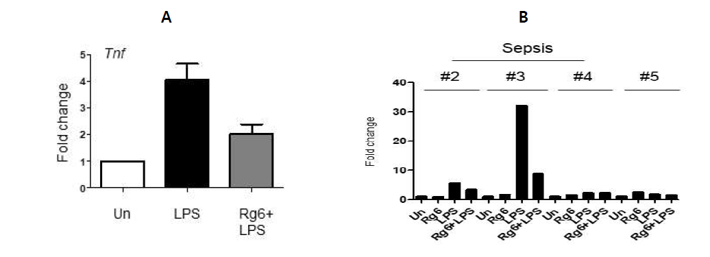 사람 말초혈액 단핵세포에서 LPS에 의한 염증 마커 TNF의 변화와 이에 대한 Rg6 염증 조절자의 기능 분석 (A) Rg6에 의한 LPS 의존적 염증 마커 TNF의 억제 효능 분석 (B) 패혈증 환자와 대조군의 말초혈액 단핵세포 LPS의 반응 변화와 Rg6의 개별 효능 분석