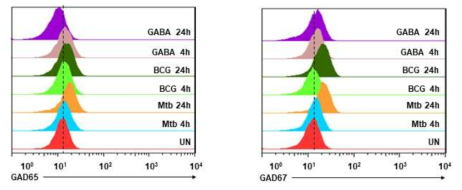 GABA 혹은 BCG/결핵균에 의해 감염된 대식세포에 대하여 GAD65와 GAD67 발현에 대한 FACS 분석