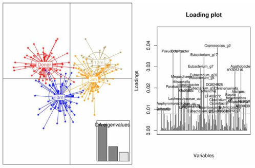 신이식후 시간에 따른 Discriminant analysis of principal components (DAPC) plot