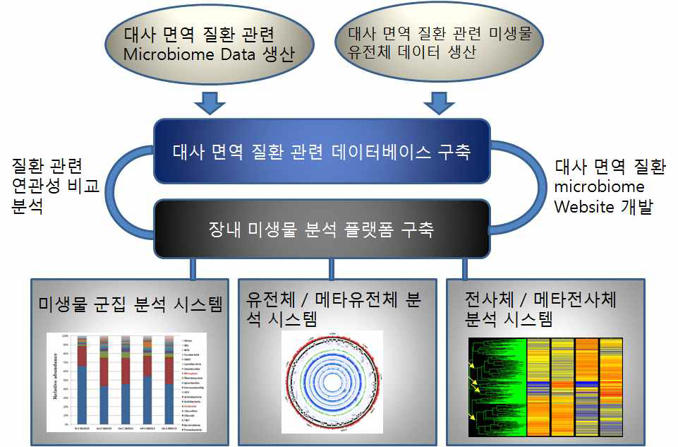 연구 개발 모식도