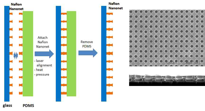 700 nm 크기의 나노 홀 어레이틑 가진 2 × 2 cm2의 나피온 막 두 장을 홀이 서로 관통하도록 접합시키는 방법을 나타내는 도식도 및 결과