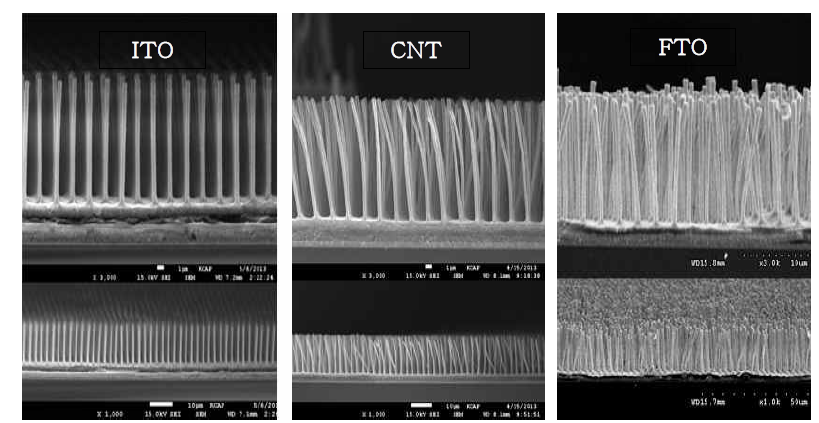 3차원적으로 정렬된 막대형태의 ITO, CNT, FTO 전극의 전자현미경 이미지