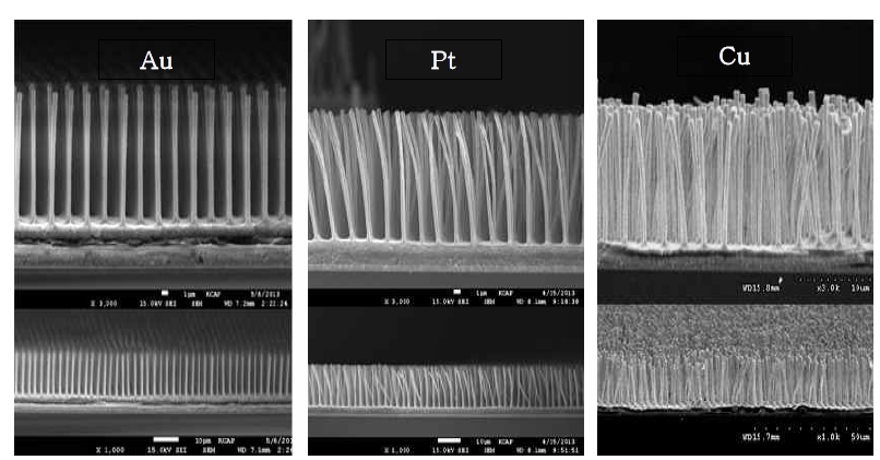 3차원적으로 정렬된 Au Pt, Ni 마이크로 막대의 어레이를 나타내는 전자현미경 이미지