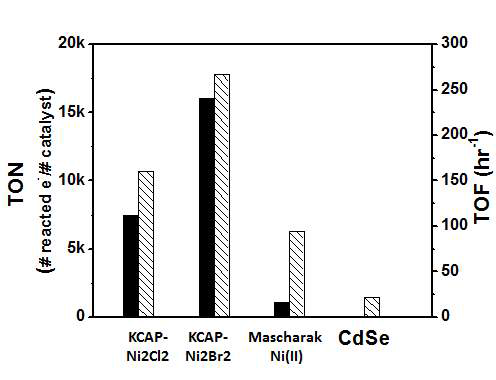 KCAP-Ni2Cl2, KCAP-Ni2Br2, Mascharak Ni(II) complex, CdSe의 촉매활성 비교