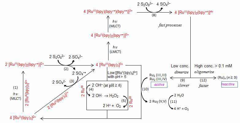 [(Ru(bpy)3]2+과 함께 사용되는 희생전자받개 S2O82-와 조합하여 물광산화 반응을 일으킬 때 [(Ru(bpy)3]2+가 분해되는 과정