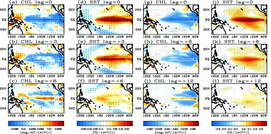 Lagged regressions of (a-c) chlorophyll and (d-f) SST against Nino3.4 index derived from observational data. (g-i) and (j-l) are same as (a-c) and (d-f) except using model data. Lag is in months. The areas exceeding the 95% confidence level are dotted