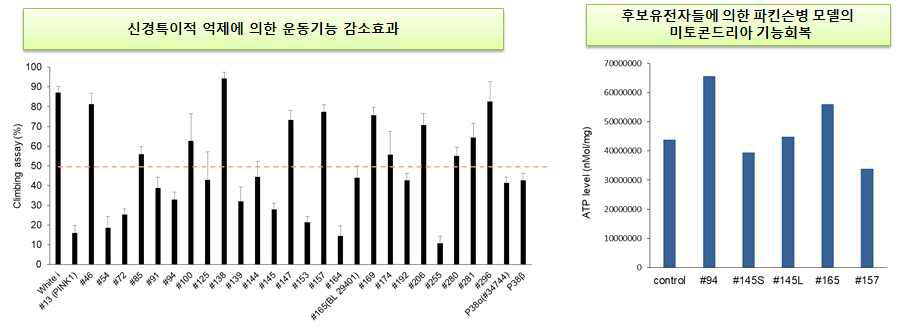 신규 미토파지 조절유전자들의 미토콘드리아 조절기능 검증