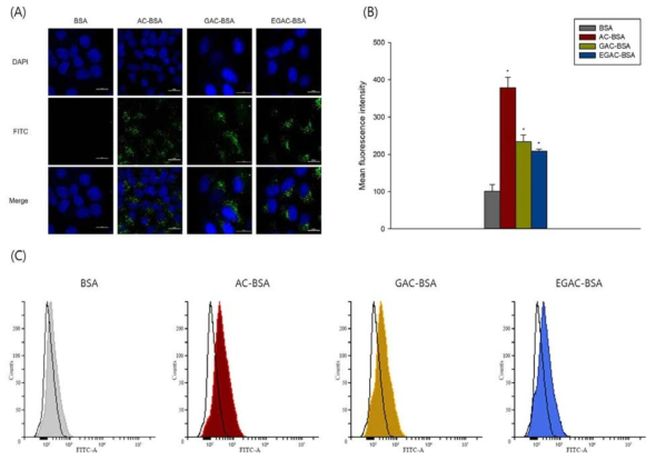 나노복합체의 세포내 유입 실험. (A)CLSM image, (B)(C)FACS data