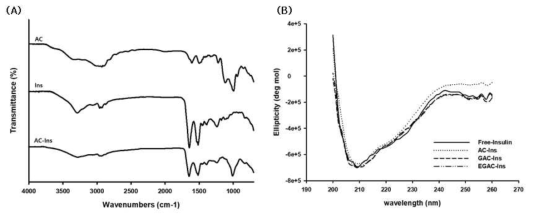 인슐린 탑재 나노복합체의 FT-IR 과 CD 데이터