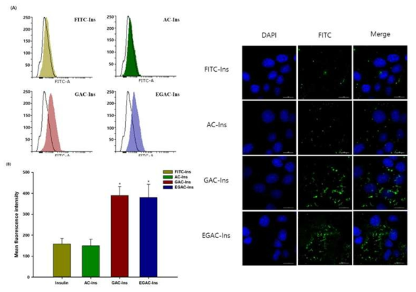 나노복합체에 의한 인슐린의 세포내 유입 특성