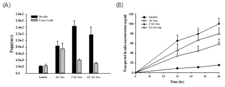 (A) M-세포 모델과 Caco-2 cell에서 약물의 세포막 투과도, (B) M-세포 모델에서 시간에 따른 약물의 세포막 투과 특성