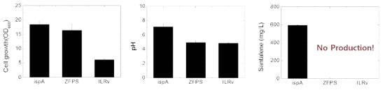 이성질의 FPP의 합성효소 ispA, ZFPS, ILRv 발현하는 균주 생산 효율 확인