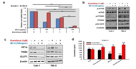 PKM2 및 mTOR dual inhibitor에 의한 암세포 사멸 기전 규명