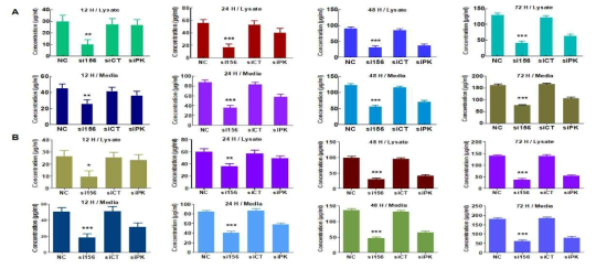 Effect of PKM2 expression knockdown on glycolytic metabolite levels in 786-O cells