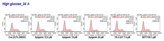 High glucose 상에서 MDA-MB-231 cells에 SIRT inhibitors처리에 따른 cell cycle의 변화