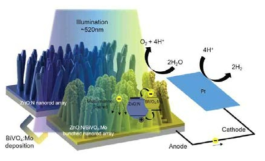 ZnO:N/BiVO4:Mo 이종구조 PEC photoanode의 모식도