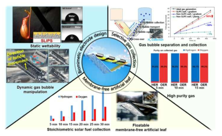 생체모방, 기체 분리 포집, 분리막 없는 인공잎의 개요도