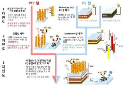 연구 수행 계획 모식도