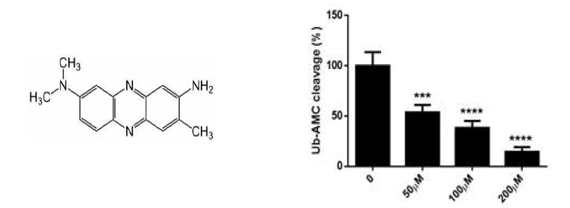 Neutral red 구조 (왼쪽) 및 Ub-linkage의 cleavage (DUB) 활성 조사 (오른쪽)