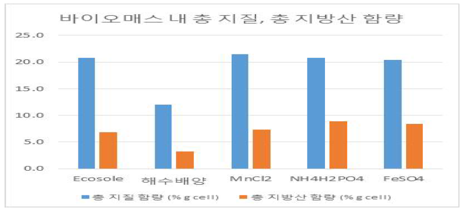 배지 조성별 총지질, 총지방산 분석 결과