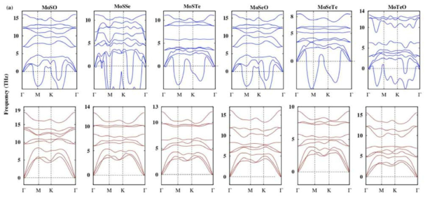 (a) 2D MoXY family의 Phonon dispersion curves (1T: 파란색, 2H: 붉은색). 2H 구조에서 허수의 진동수가 없음을 볼 수 있으나, 1T 구조는 진동에 대해 불안정한 것으로 예측됨