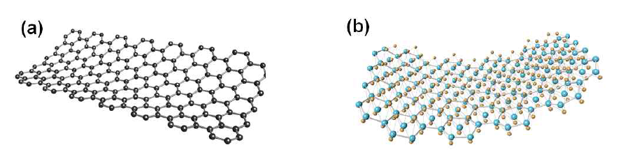 (a) 그래핀과 (b) 금속 칼코겐 화합물의 2차원 구조의 모형