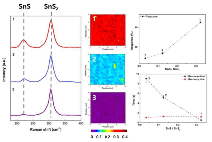 열처리를 통한 11.2nm SnS2의 Raman 스펙트럼과 맾핑데이터 및 열처리에 따른 SnS/SnS2 ratio와 에탄올 센서특성 비교