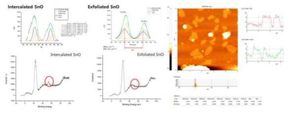 SnO 산화물의 단일층 분리 전/후 XPS 분석 및 AFM을 통한 높이 분석